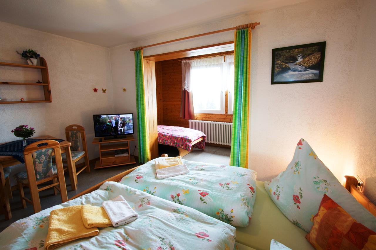 Berggasthof-Pension Todtnauer Hutte Feldberg  Bilik gambar