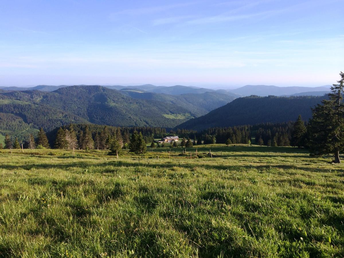 Berggasthof-Pension Todtnauer Hutte Feldberg  Luaran gambar