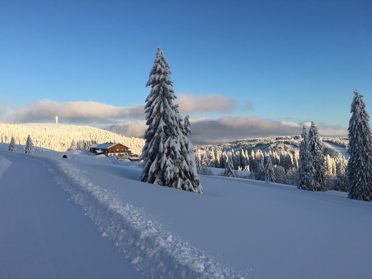 Berggasthof-Pension Todtnauer Hutte Feldberg  Luaran gambar