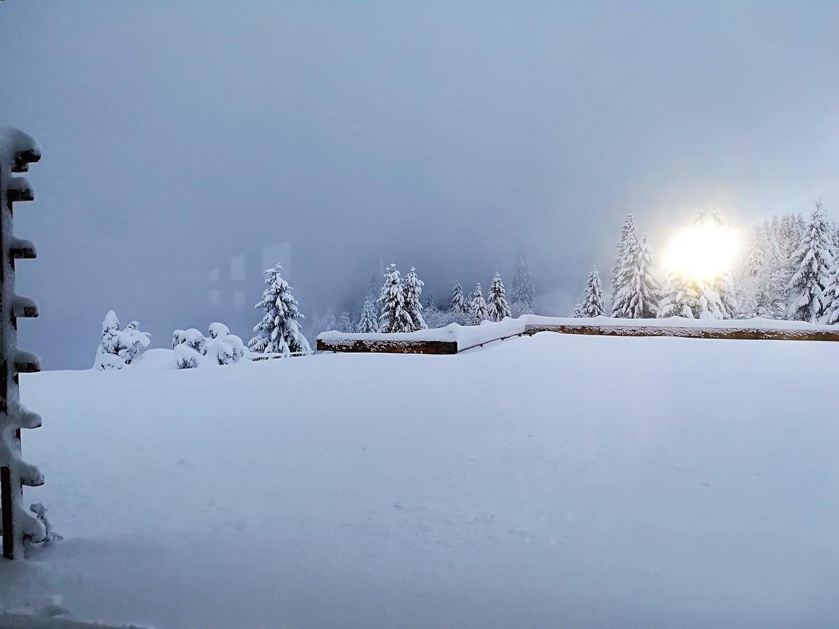 Berggasthof-Pension Todtnauer Hutte Feldberg  Luaran gambar